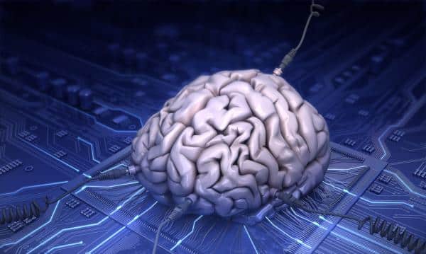 5 Facts You Need To Know About Your Brain