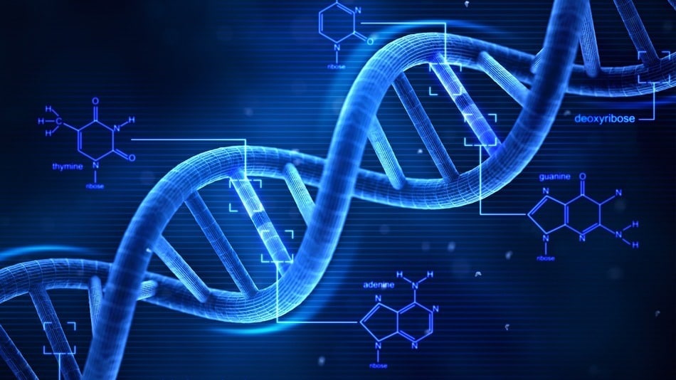Can We Command Our DNA With Our Actions?