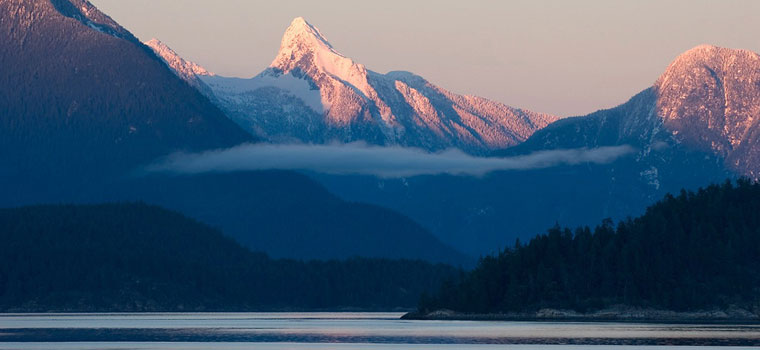 Neurosculpting® Travels To Hollyhock: Healing The Mind & Body By: Megan Winkler