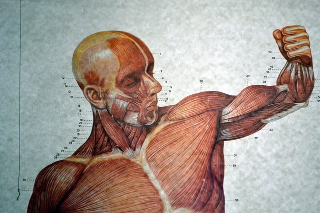 Hey, Tough Guy! By: Travis Rumsey