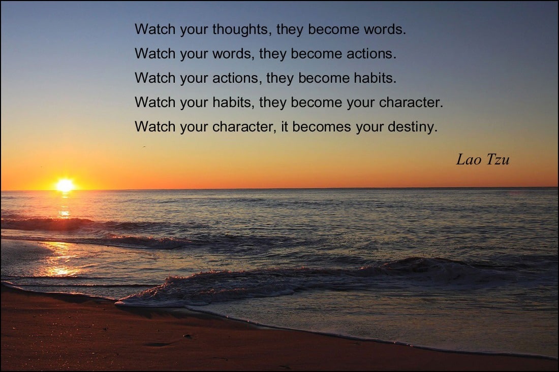 Transform Your Life With Gratitude By: Shanti Medina