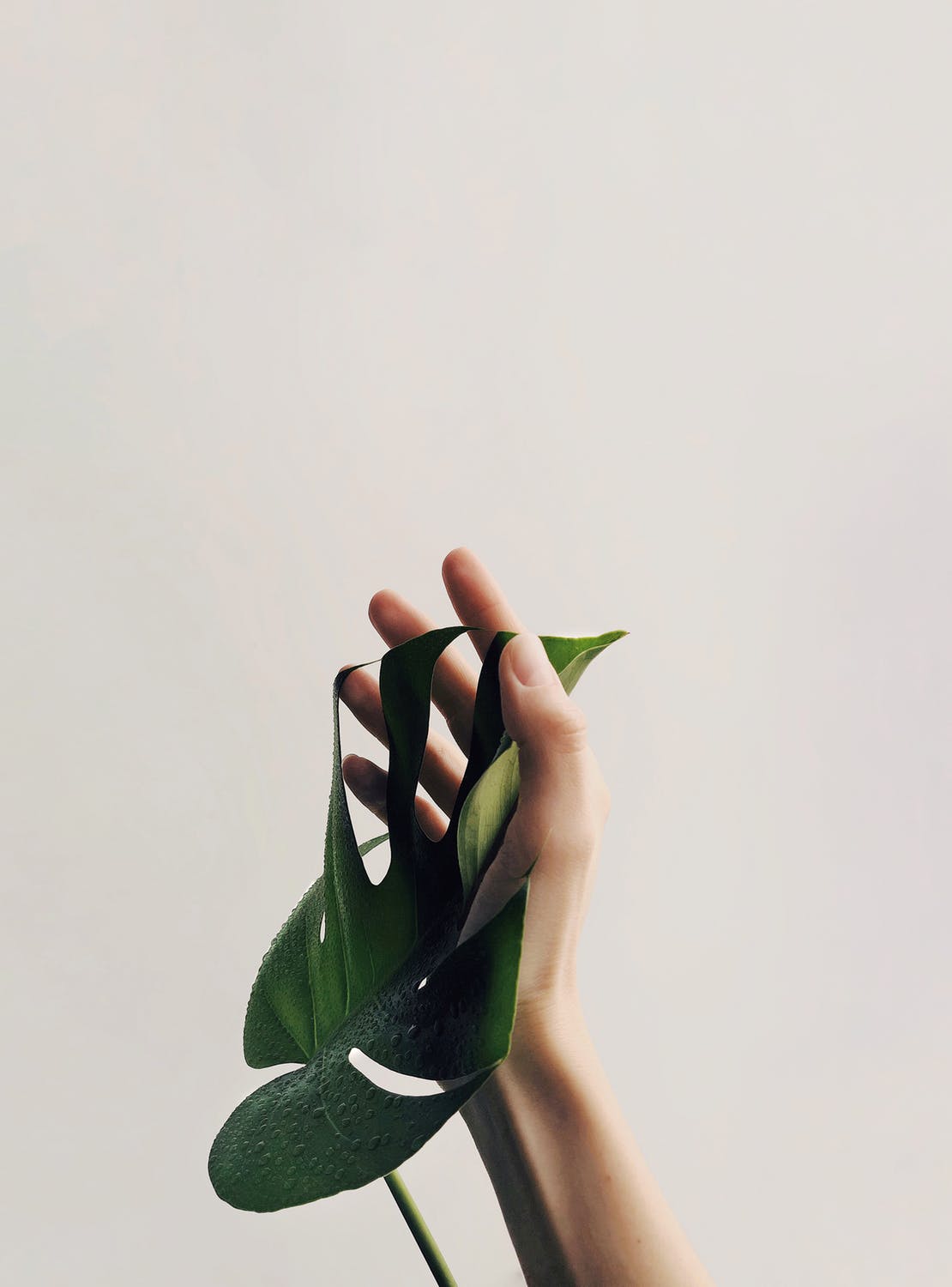 (Not) Seeing Is Believing By: Cynthia Beard
