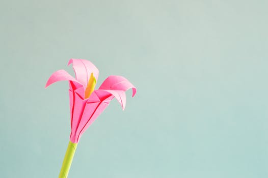 Lisa’s Note Of The Day: Pause Lives In The Prefrontal Cortex