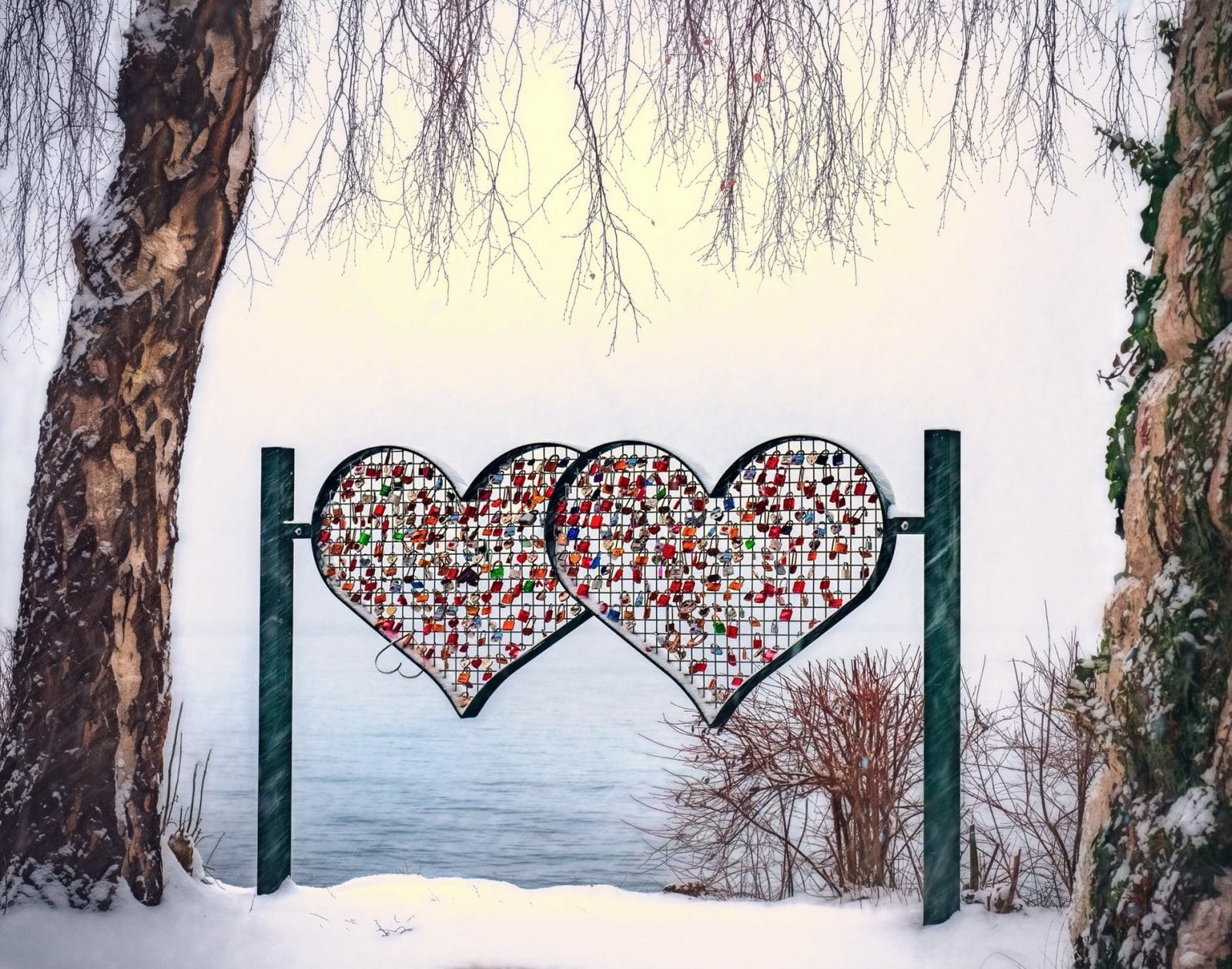 A Neurosculpting Valentine To My Limbic System By: Jocelyn King