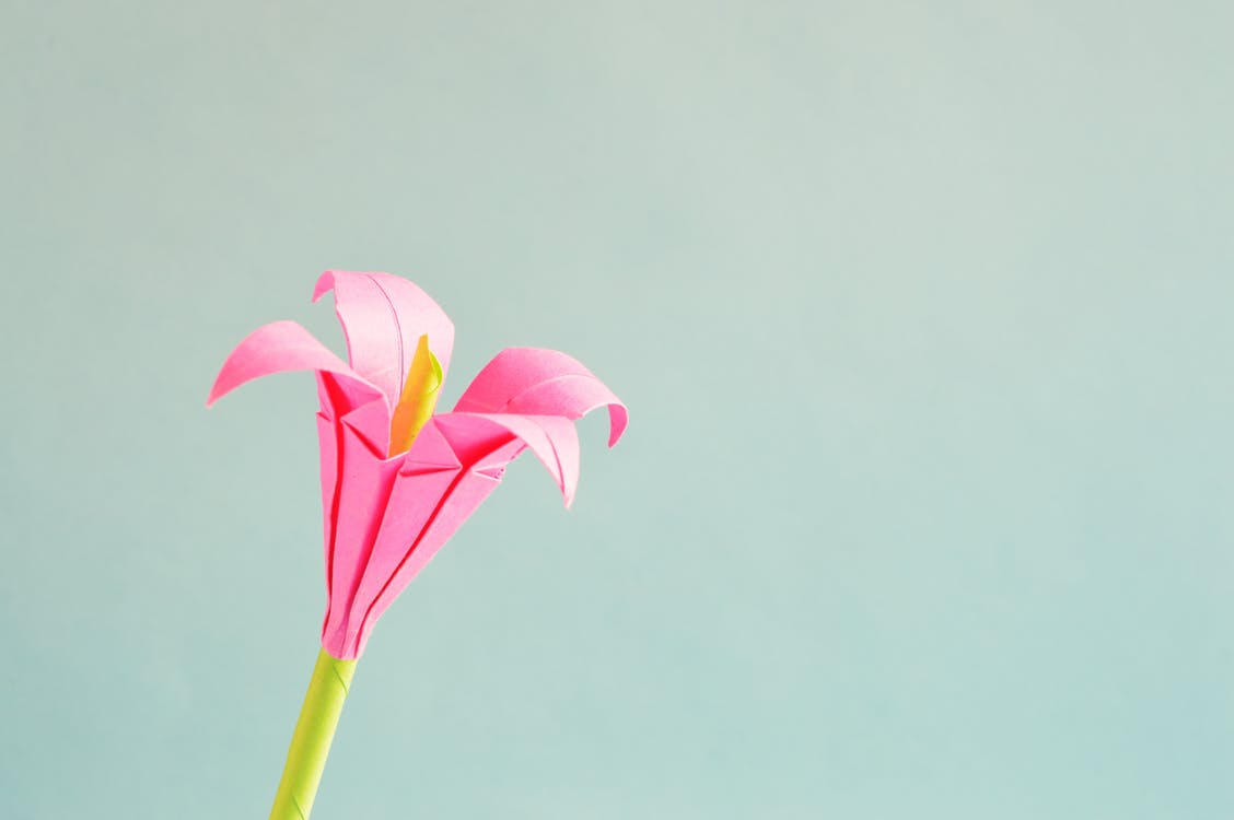 5 New Hobbies To Keep Your Brain Active By Amy Michaels